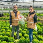 Bursa’da yaprağı yenen sebzelerde pestisit kontrolü